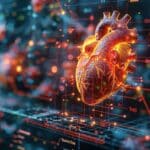 La quercétine et son impact sur les risques cardiovasculaires