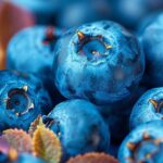 Les multiples bienfaits du bleuet pour la santé