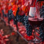 La vigne rouge s'occupe de votre système cardiovasculaire.