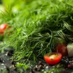 Des ballonnements ? Pensez à l'Aneth !