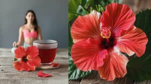 L'hibiscus améliore la texture et l'élasticité de la peau.
