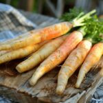 Peut-on manger du panais cru ? Bienfaits et précautions pour une consommation saine et savoureuse