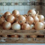 Pourquoi congeler ses oignons ? L'astuce géniale pour les conserver longtemps et facilement