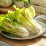 Comment congeler les endives : méthodes et astuces pour conserver leur fraîcheur longtemps