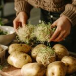 Peut-on consommer des pommes de terre germées ? Risques et précautions pour votre santé